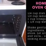  Ant Trap: How to Get Rid of Ants for Good Without Using Pesticides