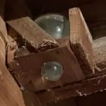 My cat is rubbing and scratching against me… What does it mean?