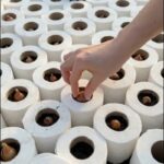 Leaving Butter on the Counter: Is it Safe?