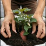I Brought My Late Grandma’s Necklace to a Pawn Shop to Pay My Rent – Then the Antique Dealer Went White and Said He Had Waited 20 Years for Me