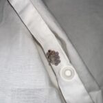 Natural Nighttime Drink for Kidney Support: Lemon & Ginger Recipe