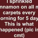 How many squares do you see? An illusion that seems to “reveal” your main flaw