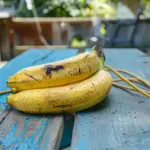 Plant Tulips the Smart Way Using Toilet Paper Rolls