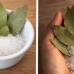 The Mystery of the Missing Number – Can You Solve It?