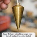 I Spent Years Wondering About This Fruit—Finding Its Name Led Me to a Recipe I’ll Never Forget Posted onJanuary 12, 2026 Byadmin