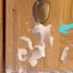 13 Easy-Care Plants For Garden Borders That Thrive On Neglect