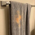 I found these little marbles in my bed and almost had a heart attack: I’m going to tell you what they were.