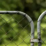 Don’t Toss That Tea Bag! Here’s Why It’s a Hidden Treasure