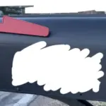 Planting Flower Bulbs Using Egg Cartons: A Simple Trench Method