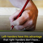 Doctors reveal that eating cucumber in salads causes…