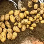 A Normal Lunch… Until Something Felt Wrong