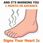 Practical Reasons Why Many People Choose Cremation