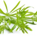 Most People Throw Away Eggshells, But They Don’t Know How Important They Are!