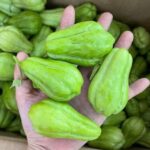 Why Potatoes Should Always Be Stored in the Dark