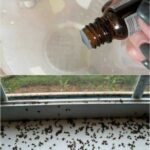 The whole internet collaborated