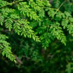 Here’s your article cleaned up, organized, and polished for clarity and readability: