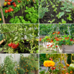 Magic Treasure Rocks: The Shiny Homemade Gem Activity Kids Go Absolutely Wild For