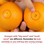 20 Reasons to Start Your Day with Clove and Cinnamon Tea