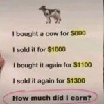 Bull Thistle Root Benefits: Uses, Healing Properties, and How to Prepare It