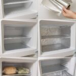 Why a Toad Might Appear in Your Home and What It Could Mean