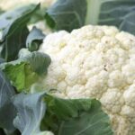 A Small Key That Opened the Door to a Life-Changing Summer