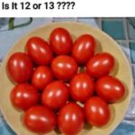 Magnesium Vitality Tonic