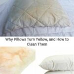 Pick A Rose And Reveal What Kind Of Woman You Are