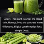 The Forgotten Utility: Vintage Button Hook and Shoe Fastener