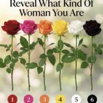 The Forgotten Utility: Vintage Button Hook and Shoe Fastener