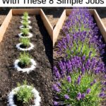 A simple math problem, “reserved for geniuses,” leaves people perplexed.