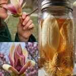 19 Mysterious Things Only Internet “Detectives” Could Identify