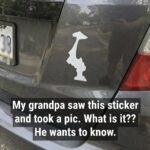 Put Rosemary Around Your Fence Line – The Reason Has Roots in Old Traditions