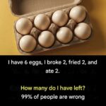 This Mysterious Item Has Left People Wondering About Its Purpose