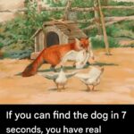 8 Essential Steps for Your Lavender Bush Before May to Ensure Massive Blooms