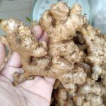 I’ve been wearing a ball of aluminum foil in my bag for years; I saw it at a friend’s house – an idea worthy of a Nobel Prize