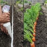 The first thing you notice in this photo says a lot about your personality! Check out the comments to find out more! ⬇