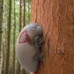 An Old Man Was Tending His Son’s Grave When His Dog Began Digging—What They Found Stunned the Entire Village