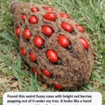 Just tried this and whoa