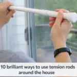 From Fear to Curiosity: Exploring the Unique Red Triangle Slug