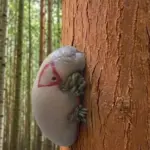 8 Subtle Signs Some People Believe Angels May Be Near Your Home