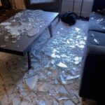 These were all over my pant leg during a walk today