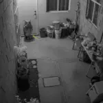 My husband kissed my forehead and said, “France. Just a short business trip.” Hours later, as I stepped out of the operating room, my heart stopped.