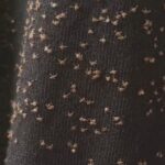 My stepmother smashed my late mother’s precious crystal set to pieces – she had no idea she had been tricked.