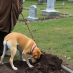 Spearmint and Lemon Tea: A Simple Natural Remedy for Cold Relief