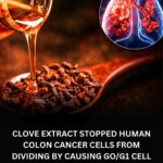 Pineapple is known for being tangy