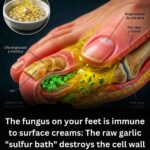 The Spiritual Meaning of a Lizard Entering Your Home Across Different Cultures