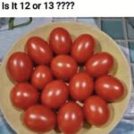 What Do You See First? This Optical Illusion Reveals More Than You Think