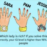 You have to choose just one sandwich to eat—your pick says a lot about your personality