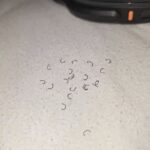 Found Metal Balls Under Your Kitchen Sink? Here’s What They Mean