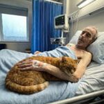 How To Make Homemade Banana Peel Fertilizer for Your Garden